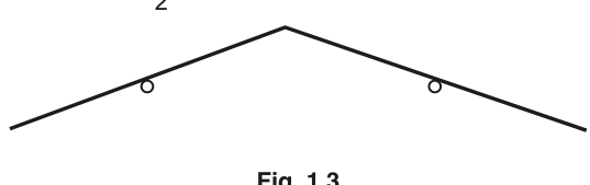 Fig. 1.3