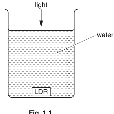 Fig. 1.1