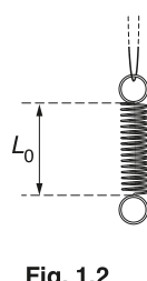 Fig. 1.2