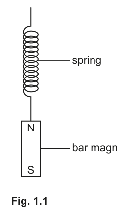 Fig. 1.1