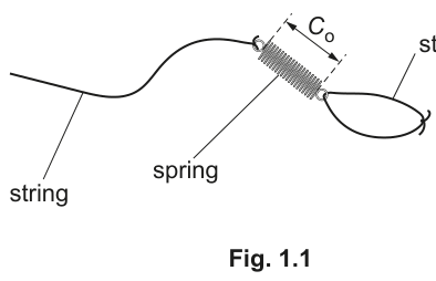 Fig. 1.1