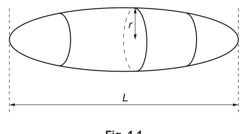 Fig. 1.1