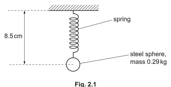 Fig. 2.1 — the same sphere hanging at rest on the spring, 8.5 cm below the support.