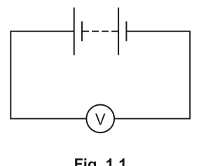 Fig. 1.1