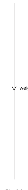 Fig. 2.2