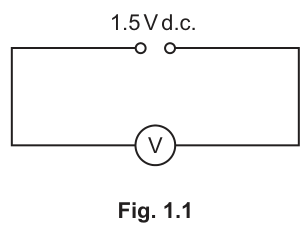 Fig. 1.1