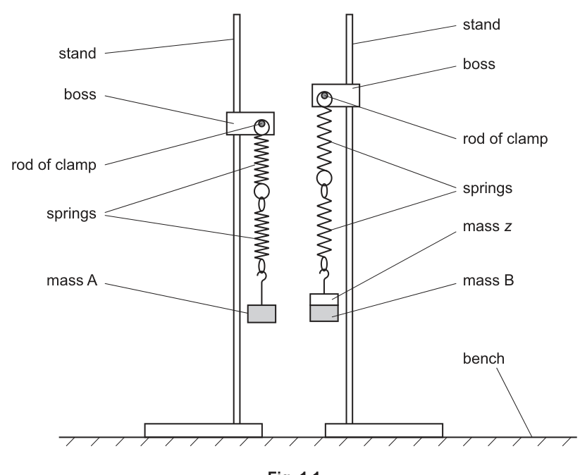 Fig. 1.1