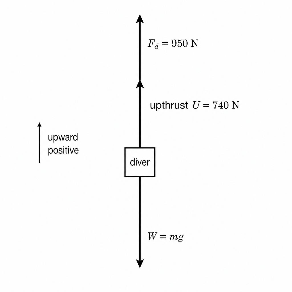 diagram-ciii-fbd