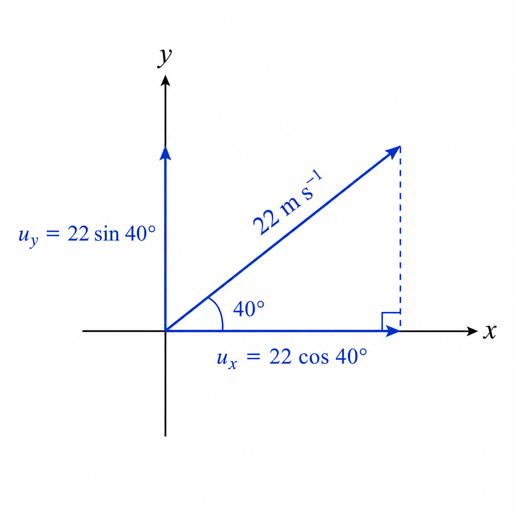diagram-bii-1