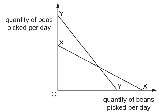Fig. 1.1