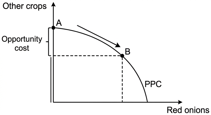 diagram-c